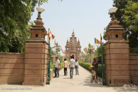 印度瓦拉纳西市旅游攻略 之 mulgandh kuti vihar