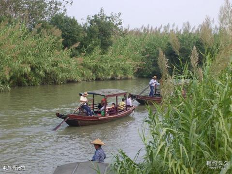 常熟沙家浜风景区旅游攻略 之 芦苇迷宫