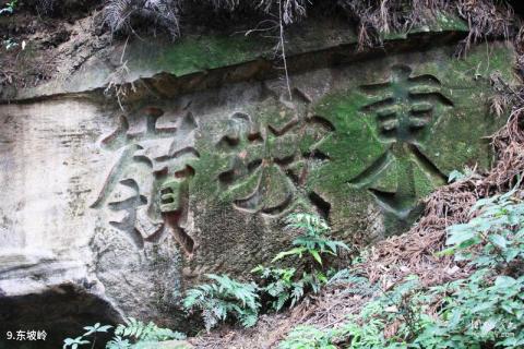 四川老峨山风景区旅游攻略 之 东坡岭