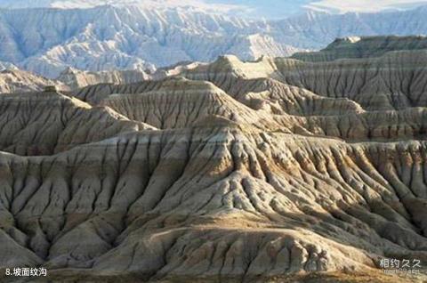 西藏扎达土林旅游攻略 之 坡面纹沟