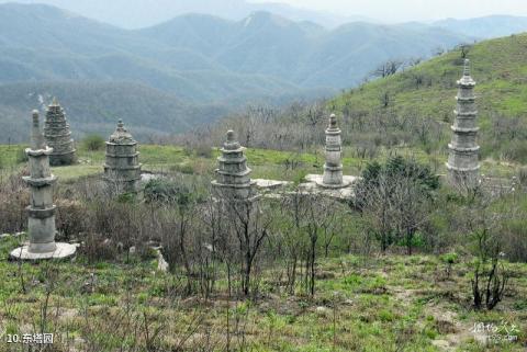 湖北桐柏山太白顶风景名胜区旅游攻略 之 东塔园