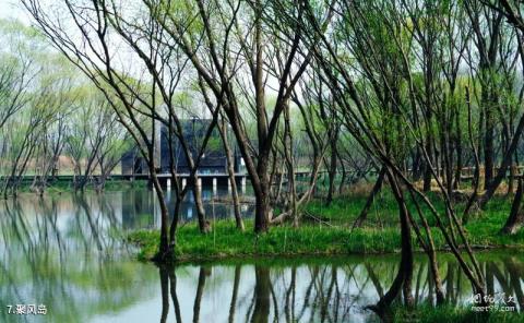 扬州市凤凰岛生态旅游区旅游攻略 之 聚风岛