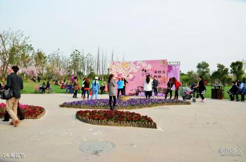 上海顾村公园旅游攻略 之 樱花节