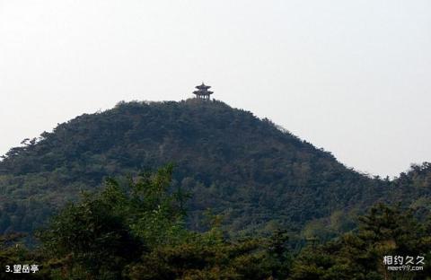 临沂茶山旅游区旅游攻略 之 望岳亭