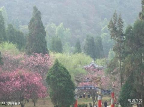 保山北庙湖公园旅游攻略 之 北庙湖春景