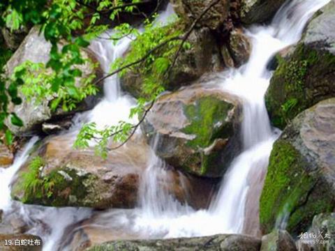 青龙祖山景区旅游攻略 之 白蛇吐布