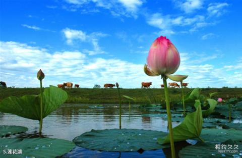 防川风景名胜区旅游攻略 之 莲花湖