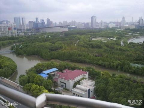 上海世纪公园旅游攻略 之 观景平台