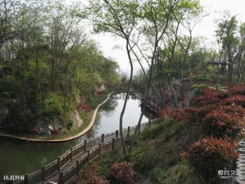 南京栖霞山风景名胜区旅游攻略 之 红叶谷