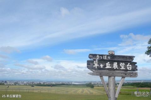 日本札幌旅游攻略 之 羊丘展望台