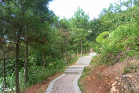 连江玉泉公园旅游攻略 之 登山石阶