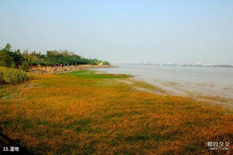 上海吴淞炮台湾国家湿地公园旅游攻略 之 湿地