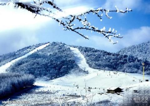 神农架神农顶旅游区旅游攻略 之 神农架旅游滑雪场