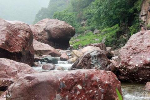 河南济源小沟背银河峡景区旅游攻略 之 奇石