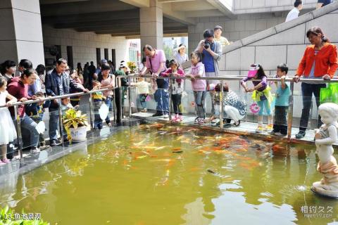 陕西自然博物馆旅游攻略 之 鱼池景观