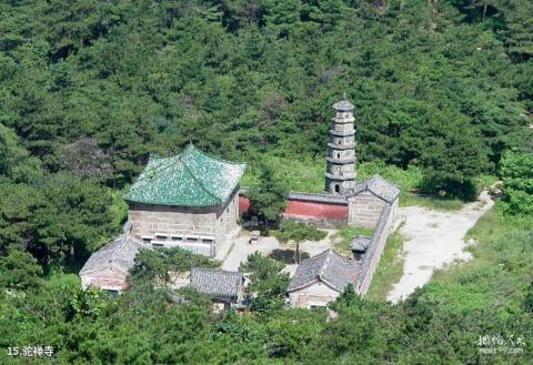 鲁山国家森林公园旅游攻略 之 驼禅寺