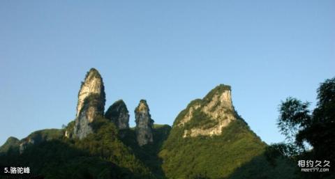 吉首德夯风景名胜区旅游攻略 之 骆驼峰