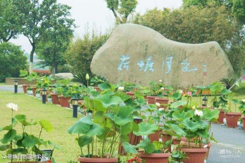 苏州荷塘月色湿地公园旅游攻略 之 荷塘月色湿地公园