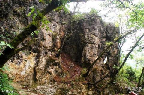 四川光雾山旅游攻略 之 象头石