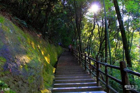 浙江南明山旅游攻略 之 石阶