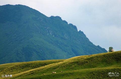 曲靖会泽大海草山旅游攻略 之 牯牛寨