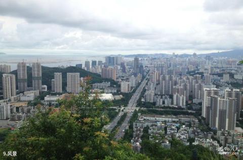 珠海板樟山森林公园旅游攻略 之 风景