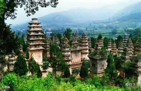 河南嵩山少林寺旅游攻略 之 塔林