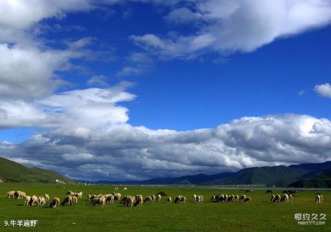 西双版纳猴山旅游攻略