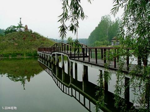 盈泰温泉度假村旅游攻略 之 园林植物