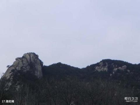 威海圣经山风景名胜区旅游攻略 之 骆驼峰