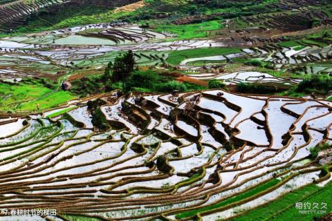 福建尤溪联合梯田旅游攻略 之 春耕时节的梯田