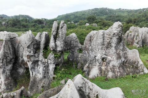 赫章阿西里西·韭菜坪旅游攻略 之 天上石林