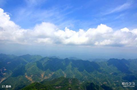 陕西商洛天竺山国家森林公园旅游攻略 之 森林