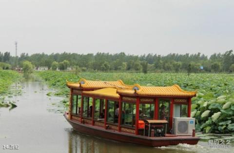 淮安金湖荷花荡景区旅游攻略 之 游船