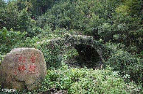 杭州山沟沟风景区旅游攻略 之 古桥红林