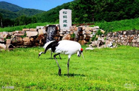 哈尔滨松松小镇旅游攻略