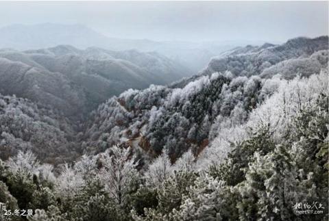 三门峡甘山国家森林公园旅游攻略 之 冬之景