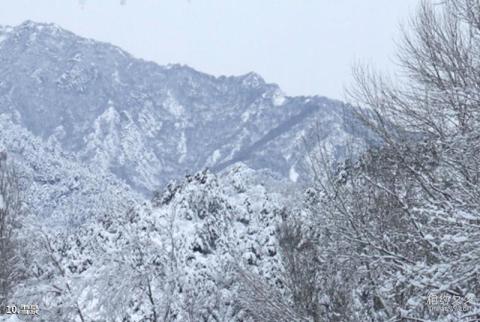 北京松山森林公园旅游攻略 之 雪景