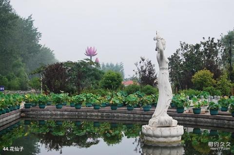 济宁微山湖风景名胜区旅游攻略 之 花仙子