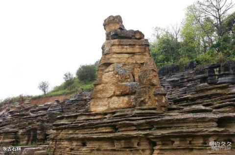 阿克塞苏干湖候鸟自然保护区旅游攻略