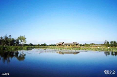 大庆黑鱼湖生态景区旅游攻略 之 风景