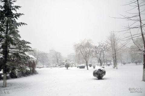 沈阳奉达公园旅游攻略 之 雪景