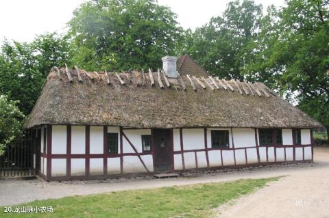 欧登塞菲英村旅游攻略 之 龙山脉小农场