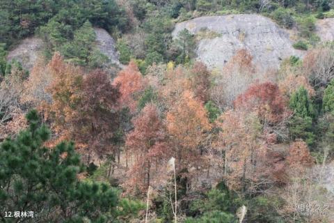 温岭南嵩岩风景区旅游攻略 之 枫林湾