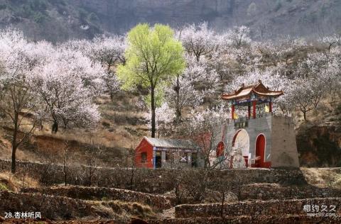 平山佛光山生态风景区旅游攻略 之 杏林听风