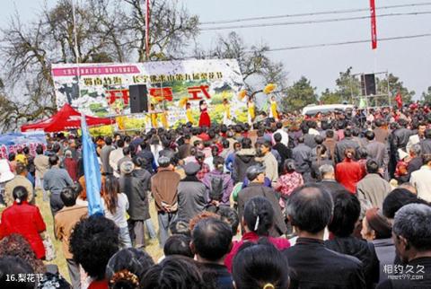 宜宾长宁佛来山旅游攻略 之 梨花节