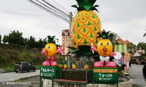 日本冲绳旅游攻略 之 菠萝园(Pineapple)