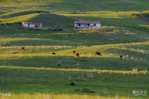 新疆喀拉峻草原旅游攻略 之 草场