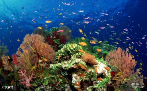 北京太平洋汉海海底世界旅游攻略 之 水族馆