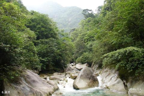 广西千家洞国家级自然保护区旅游攻略 之 溪流